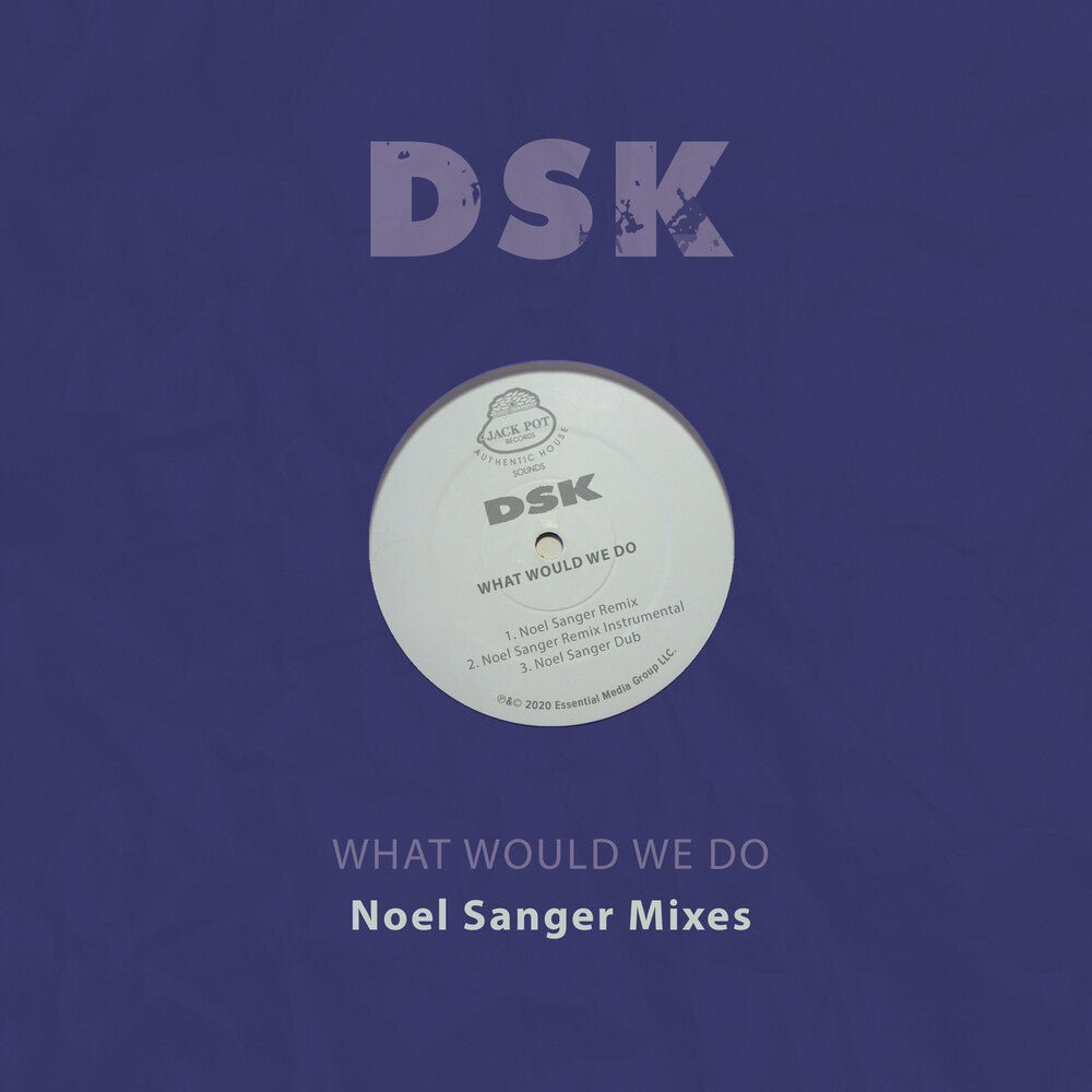 the album cover for DSK - What Would We Do - Noel Sanger Mixes (Mod)