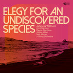 the album cover for Johannes Wallmann - Elegy for an Undiscovered Species