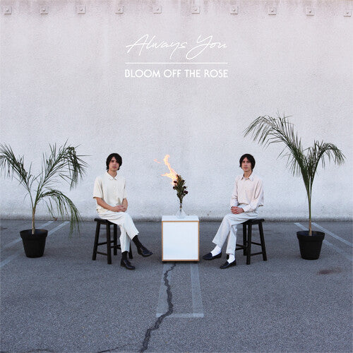 Always You - Bloom Off The Rose (Vinyl)