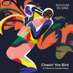 the album cover for Chasin The Bird / Various - Chasin The Bird / Various