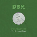 the album cover for DSK - What Would We Do - The Revenge Mixes (Mod)
