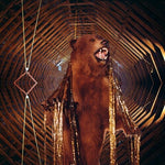 My Morning Jacket - It Still Moves [Golden Smoke 2 LP] (Vinyl)