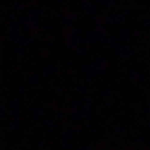 アンドリュー・WK - God Is Partying (レコード)