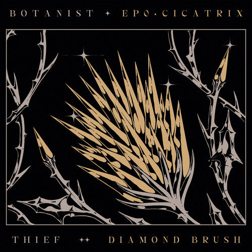 Botánico - Cicatriz / Pincel de diamante (CD)