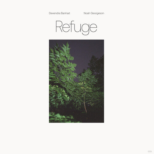 Devendra Banhart - Refugio (Vinilo)