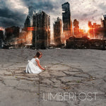 the album cover for Limberlost - Good Fight