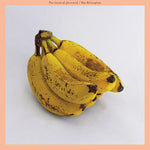 Mac McCaughan - Sound of Yourself (IEX) (Pink & Orange Swirl Vinyl) (Vinyl)