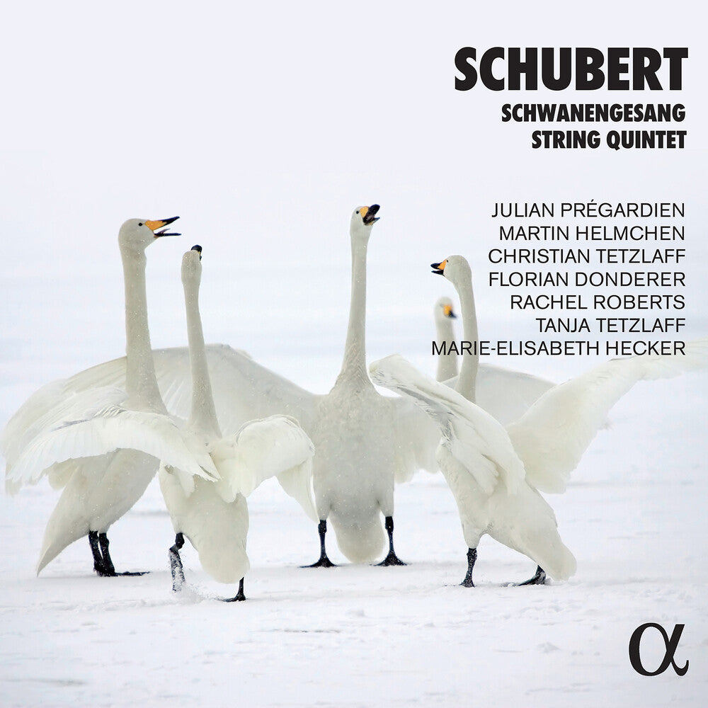 the album cover for Schubert - Works (2pk)