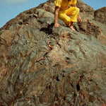 the album cover for Roddy Woomble - Lo! Soul