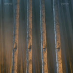 the album cover for Skepticism - Companion