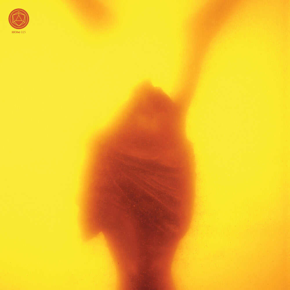 the album cover for Massimo Pupillo/ Csokas,Marton / Tinti,Gabriele - Embracing The Ruins
