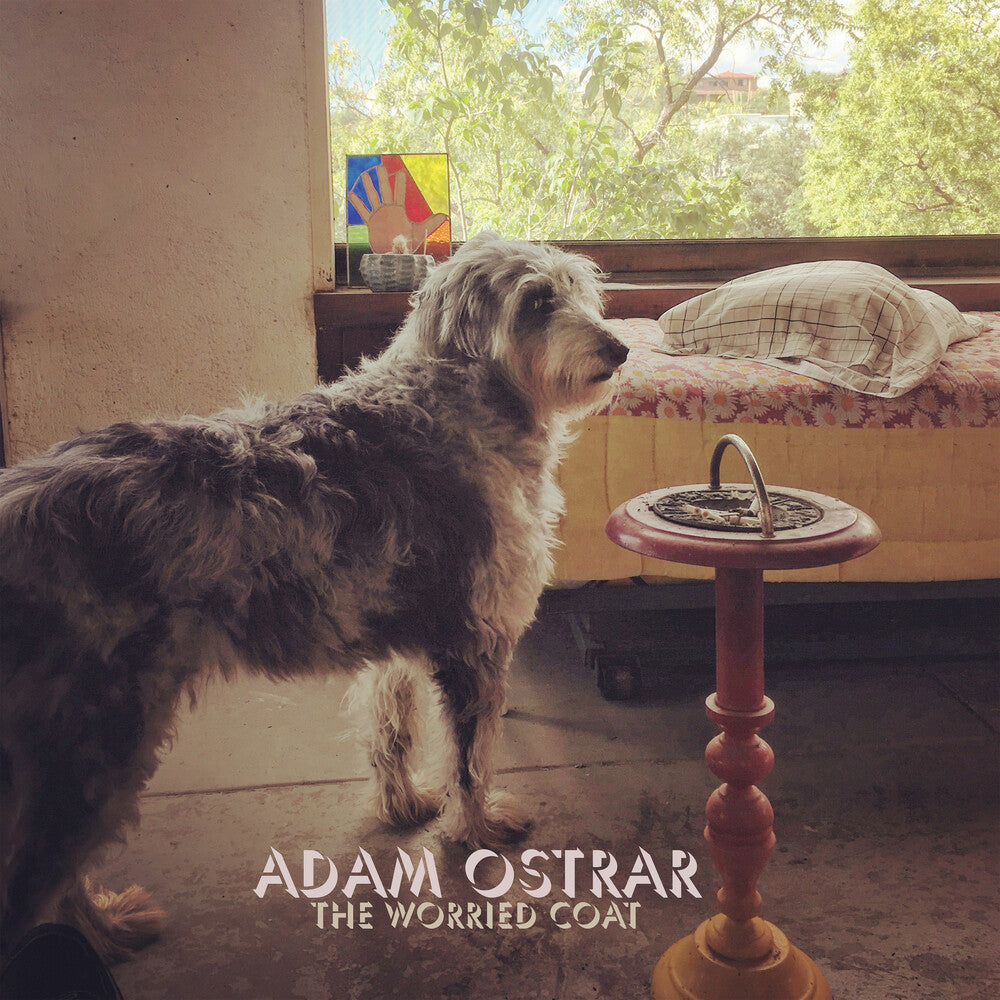 the album cover for Adam Ostrar - The Worried Coat [LP]