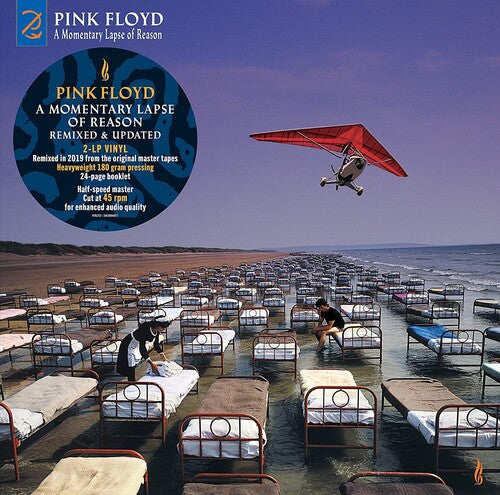 Pink Floyd - Un lapso momentáneo de razón (vinilo)