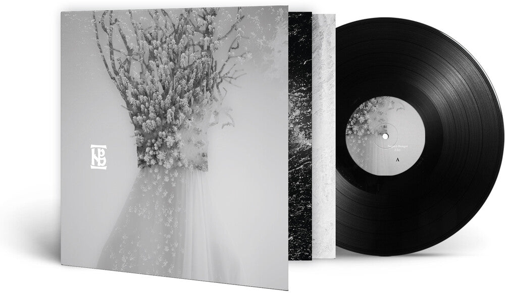 the album cover for Negura Bunget - Zau (Gate) [180 Gram]