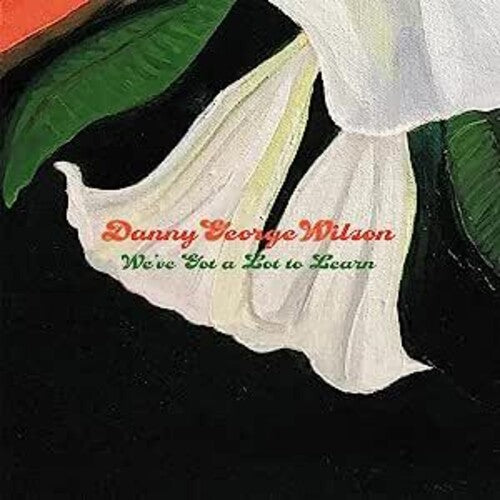 Danny George Wilson - Tenemos mucho que aprender (Vinilo)