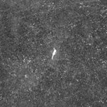 the album cover for Birds Of Passage - Last Of Garden [180 Gram] [Download Included]