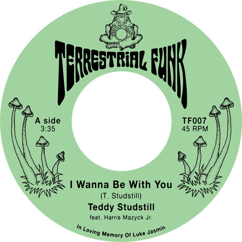 I Wanna Be With You / There Comes A Time (Vinyl)