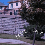 Shuta Hasunuma - Holiday (Vinyl)