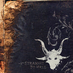 Hank III - Straight To Hell (CD)