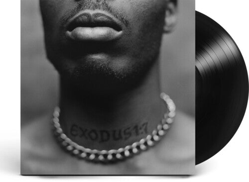 DMX - エクソダス (ビニールレコード)