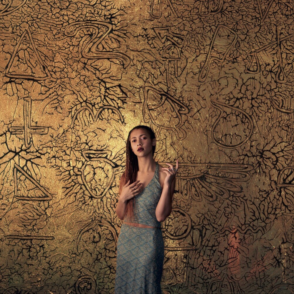 the album cover for Jelly Cleaver - Forever Presence