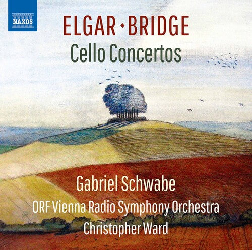 Schwabe - Cello Concertos (CD)