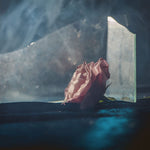 the album cover for Lee Ranaldo - In Virus Times