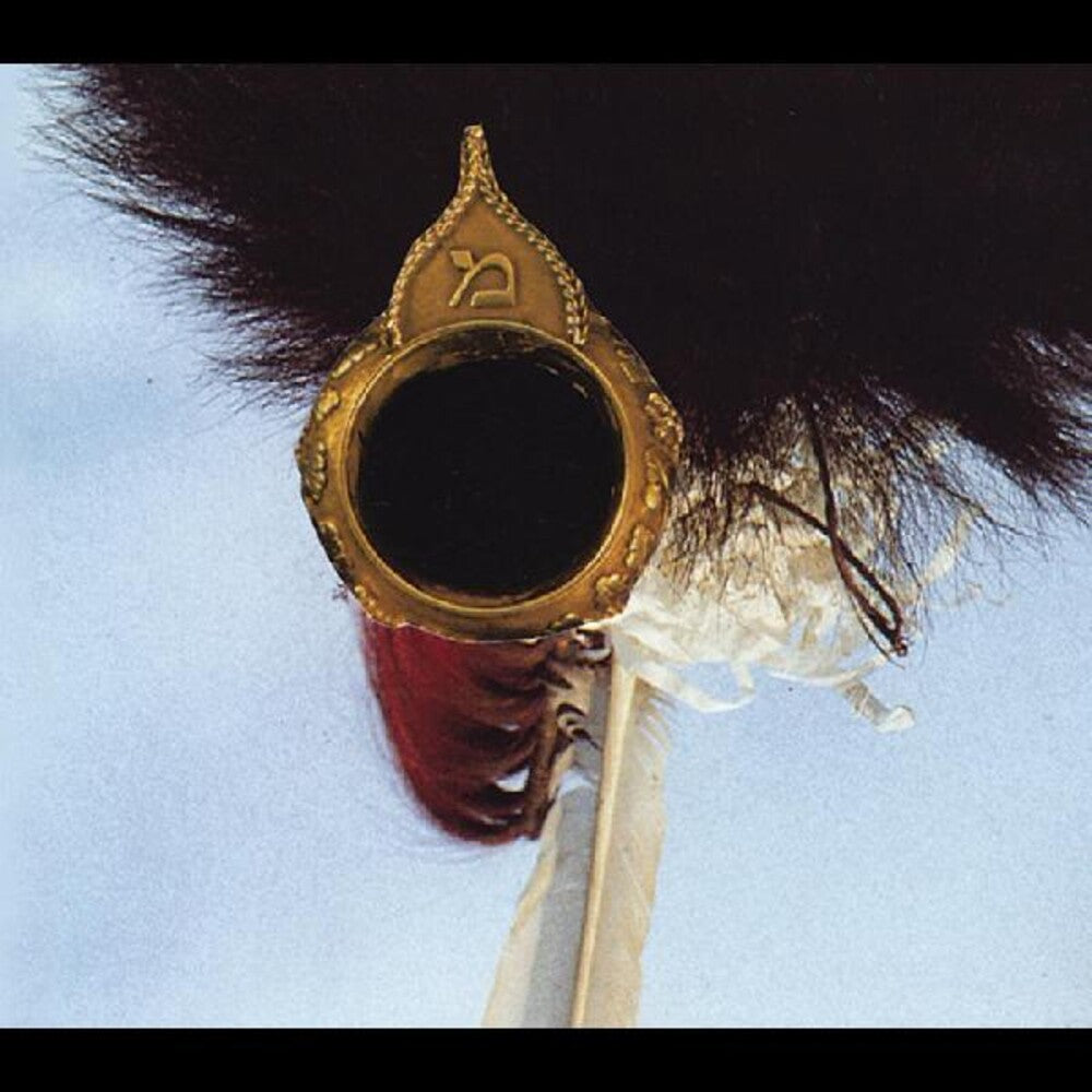 the album cover for John Zorn - New Masada Quartet