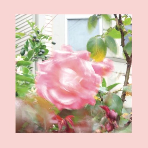 Rojos, rosas y morados - Verano en el fin del mundo (Vinilo)