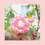 Rojos, rosas y morados - Verano en el fin del mundo (Vinilo)