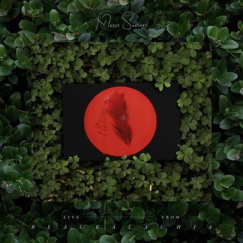Moses Sumney - En vivo desde Blackalachia (Verde claro) (Vinilo)