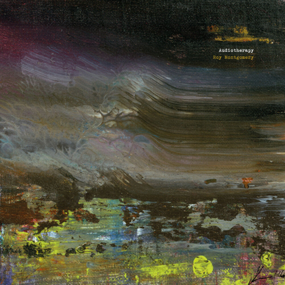 the album cover for Roy Montgomery - Audiotherapy