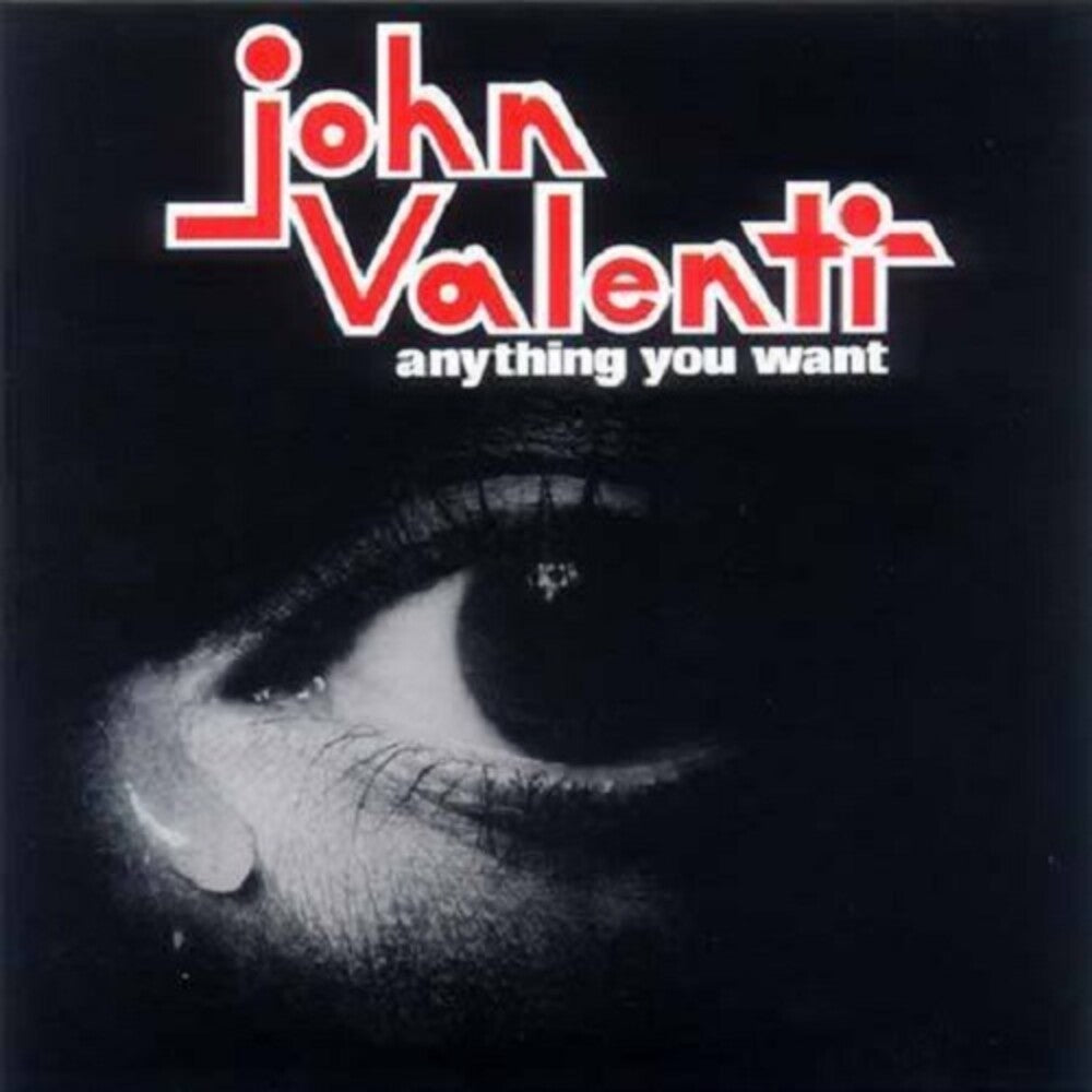 the album cover for John Valenti - Anything You Want
