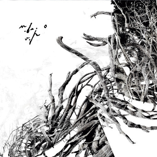 Negura Bunget - Virstele Pamintului (Vinilo)