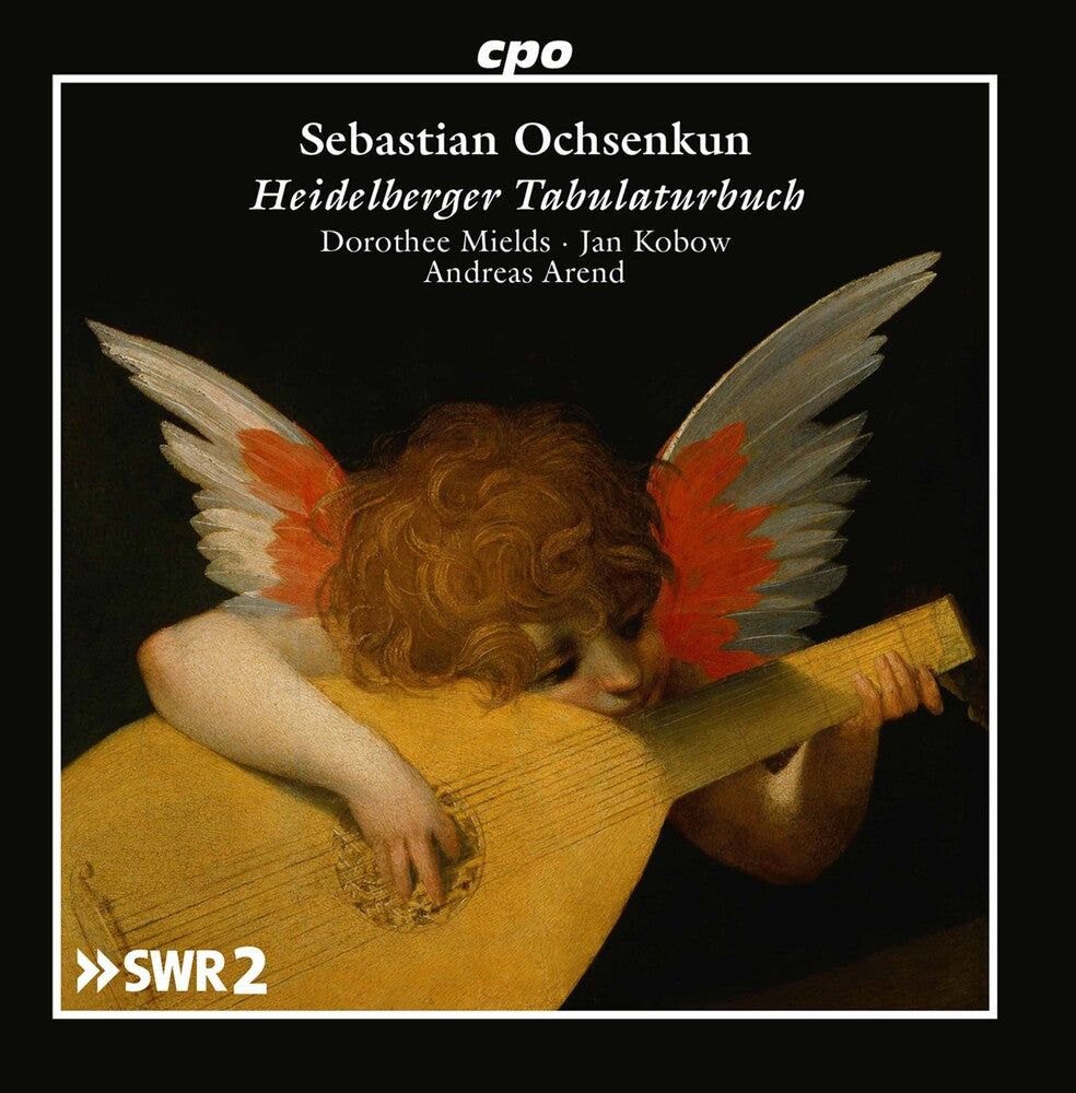 the album cover for Zirler / Mields / Arend - Das Heidelberger Lautenbuch