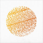 The Gathering - Beautiful Distortion (CD)