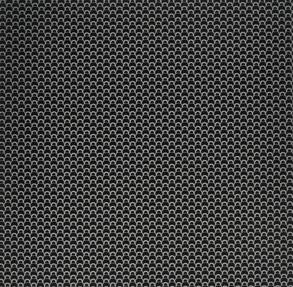 the album cover for Dungen - Tio Bitar