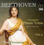 the album cover for L.V. Beethoven - Piano Trios 3