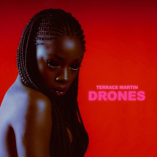 テラス・マーティン - DRONES (レコード)