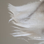 the album cover for Rob Burger - Marching With Feathers