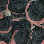 Eric Chenaux - Say Laura (Vinyl)