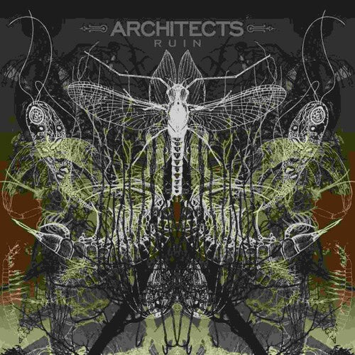アーキテクツ - Ruin (ビニールレコード)
