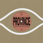 the album cover for Bartees Strange / Eric OhmmeSlick / Anjimile - Province / Ever New