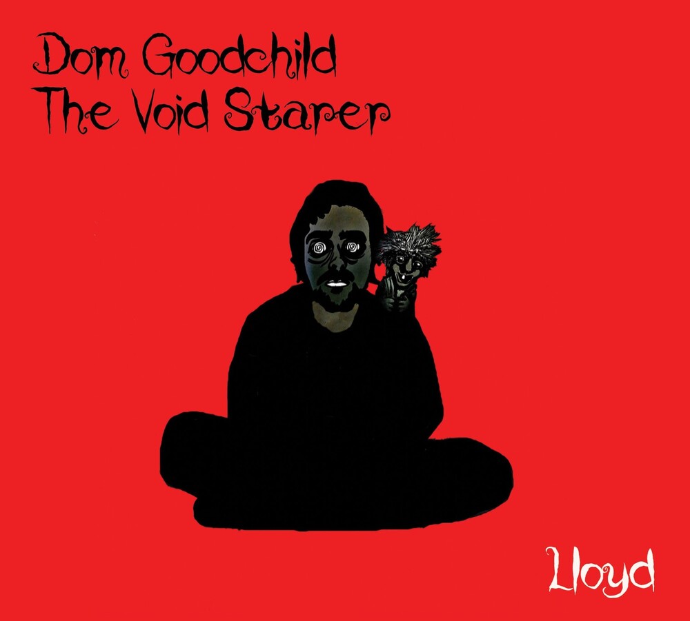 the album cover for Dom Goodchild The Void Starer - Lloyd (Uk)