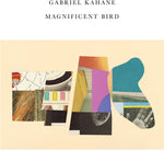 the album cover for Gabriel Kahane - Magnificent Bird [LP]
