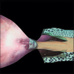 Escudo pintado - Escudo pintado 2 (CD)