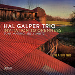 the album cover for Hal Galper - Invitation To Openness: Live At Big Twig