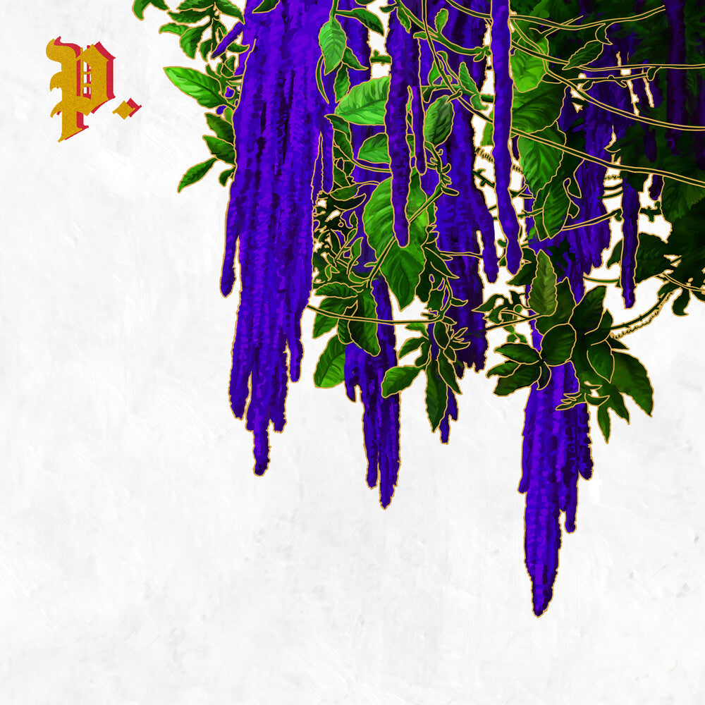 the album cover for Proper. - The Great American Novel