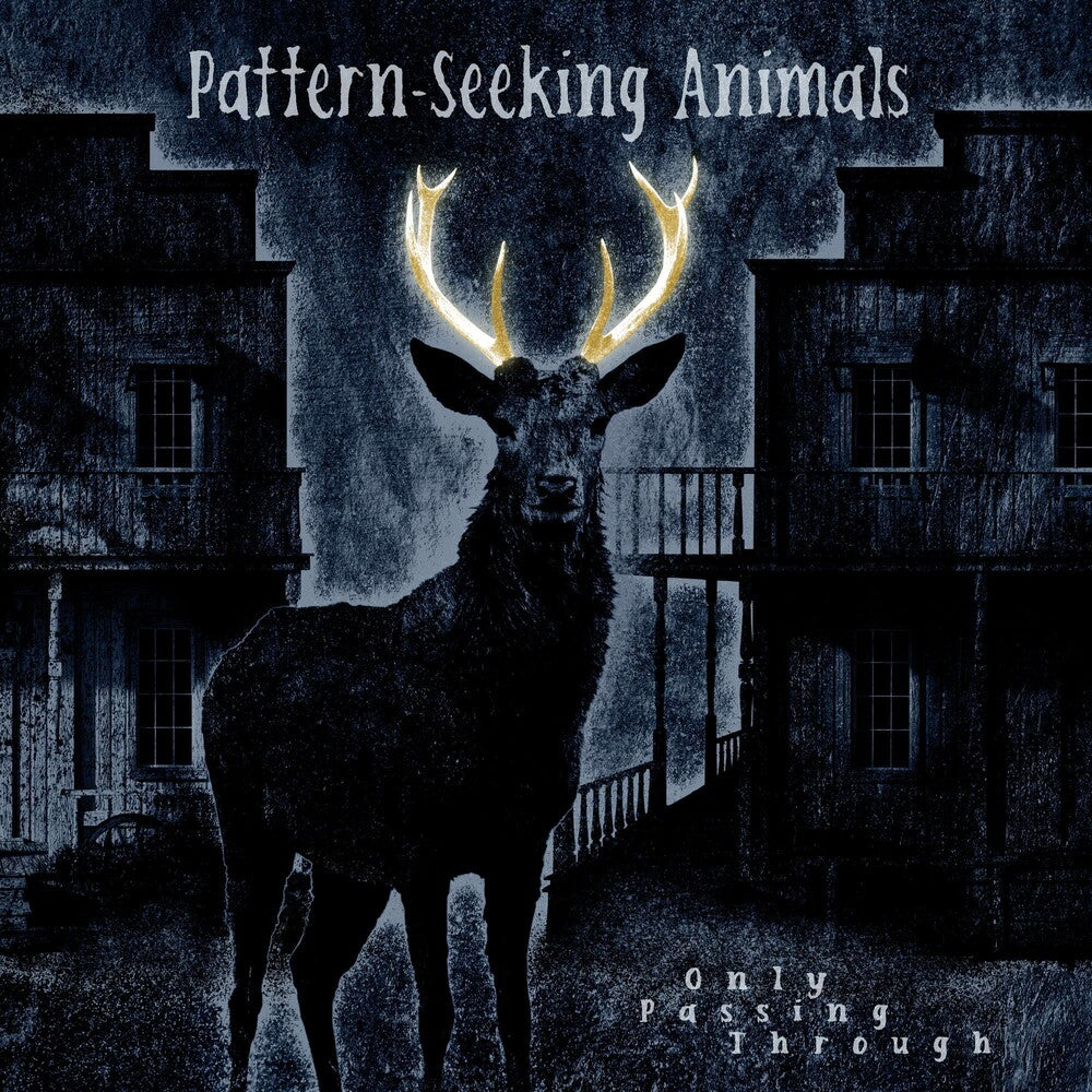 the album cover for Pattern-Seeking Animals - Only Passing Through [2LP/CD]
