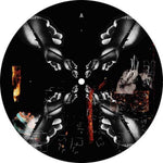 the album cover for Lilly Palmer - We Control